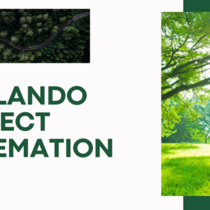 Orlando Direct Cremation